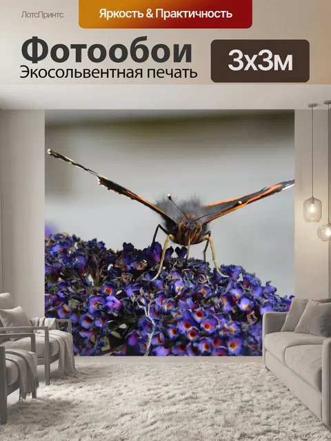 Фотообои Бабочка