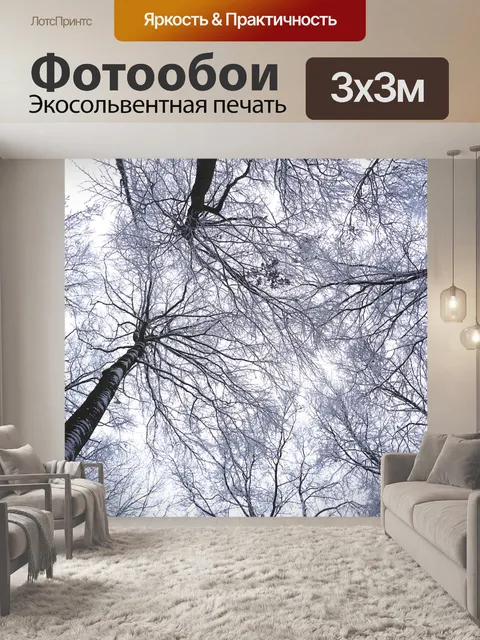 Фотообои Деревья