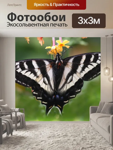 Фотообои Парусники бабочки