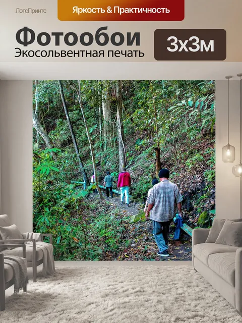 Фотообои Тропинка в садовых джунглях