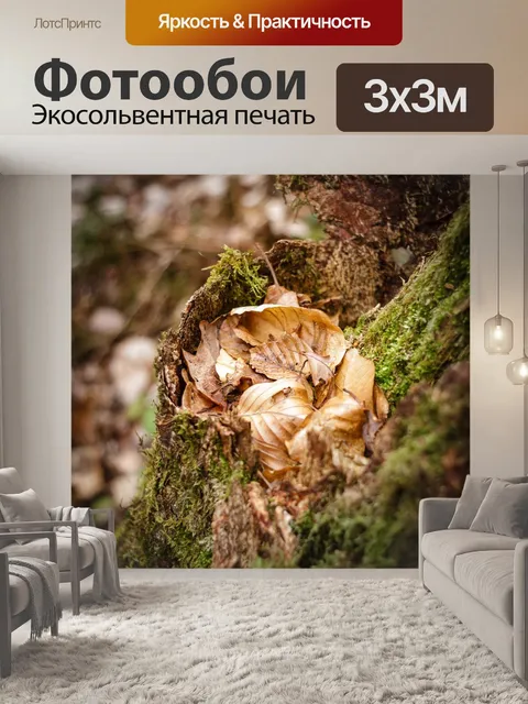Фотообои Мох