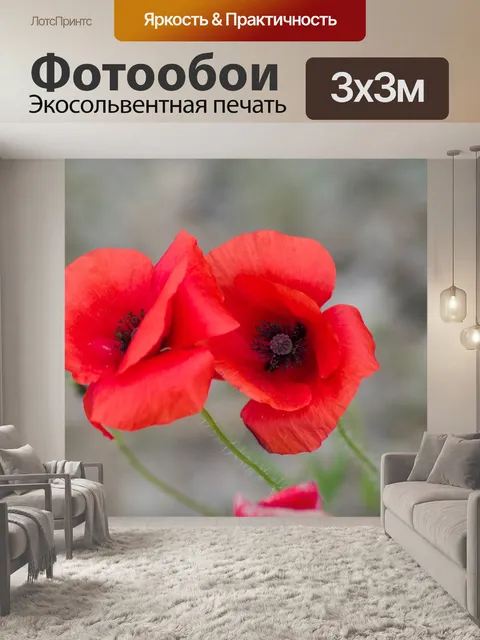Фотообои Цветы