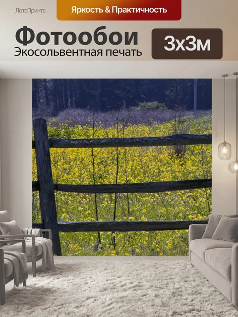 Фотообои Поле желтые цветы