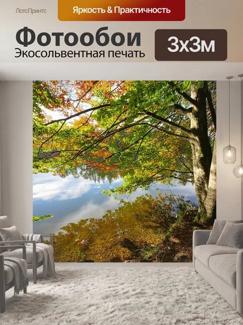 Фотообои Лес