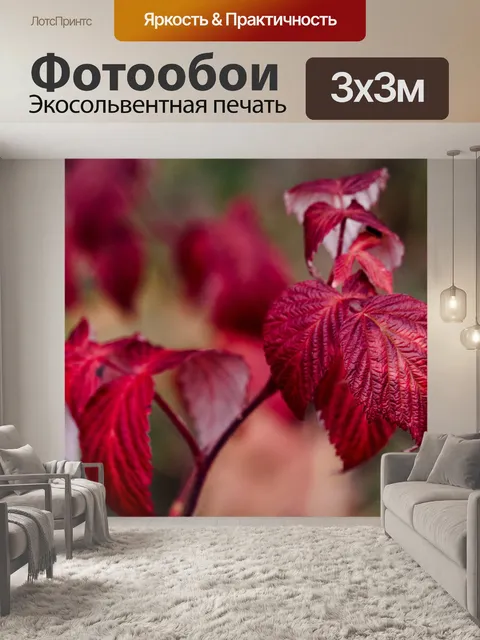Фотообои Листья