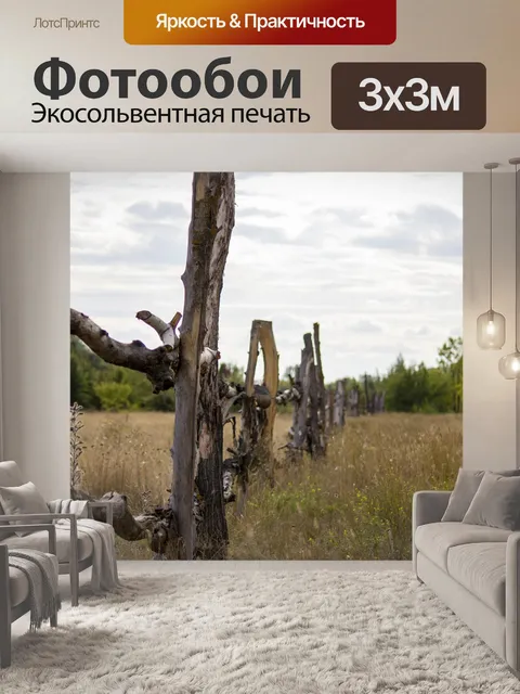 Фотообои Лес