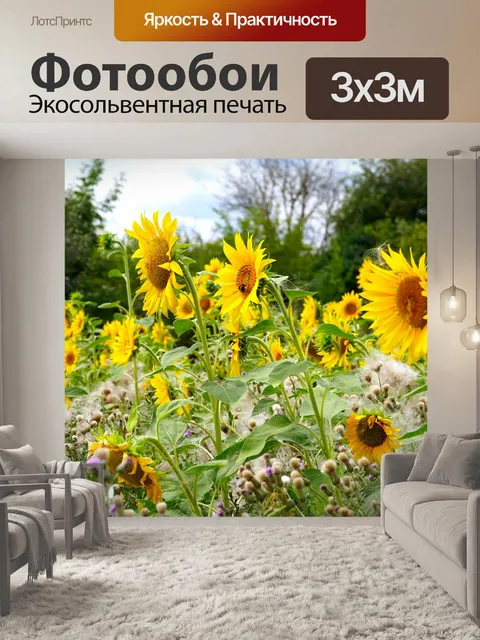 Фотообои Цветы