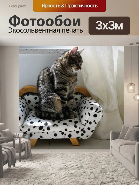 Фотообои Сидеть
