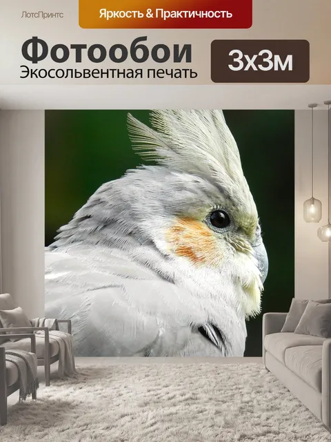 Фотообои Птица