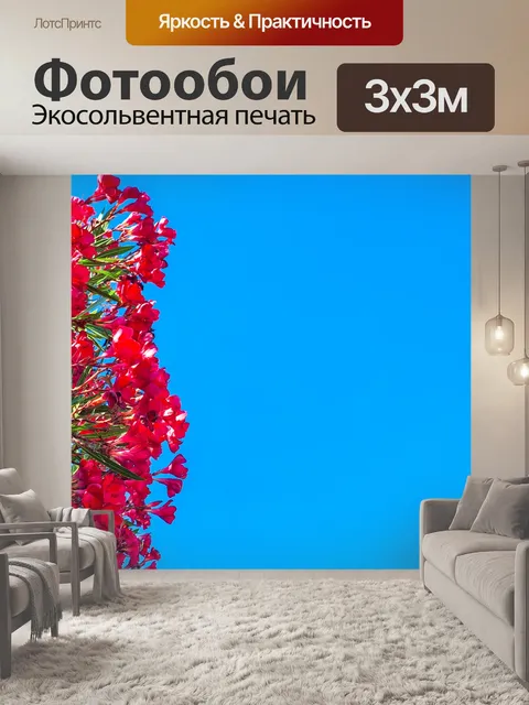 Фотообои Цветы олеандра