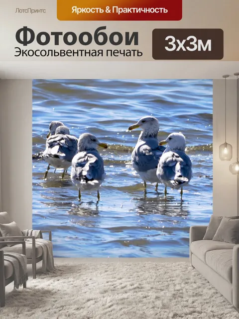 Фотообои Вадинг Чайки