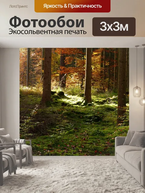 Фотообои Лес