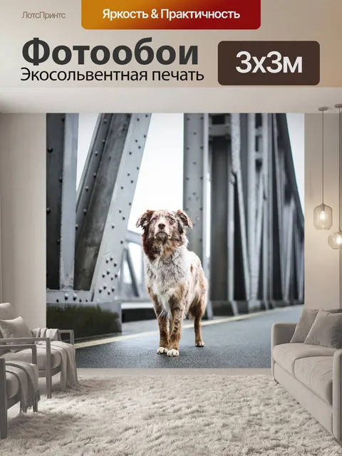 Фотообои Собака