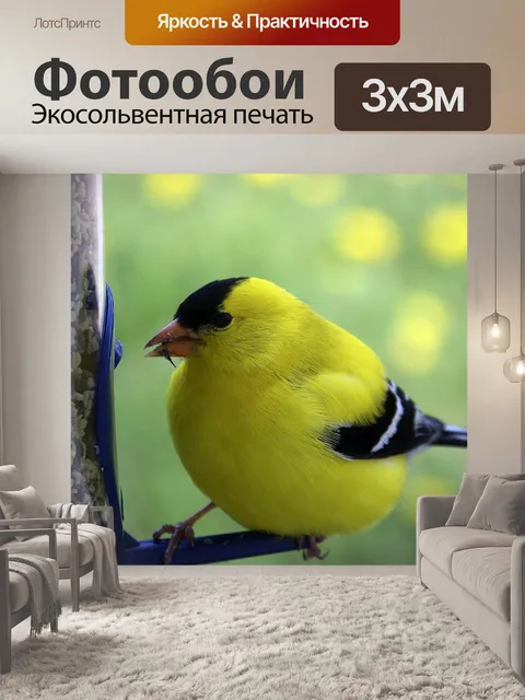 Фотообои Птицы
