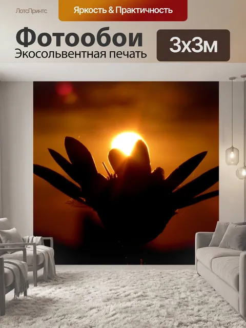 Фотообои Цветок