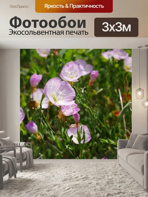 Фотообои Цветы