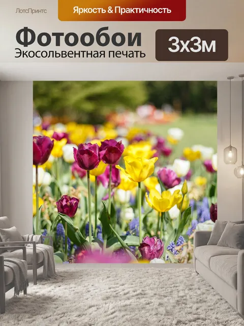 Фотообои Тюльпаны
