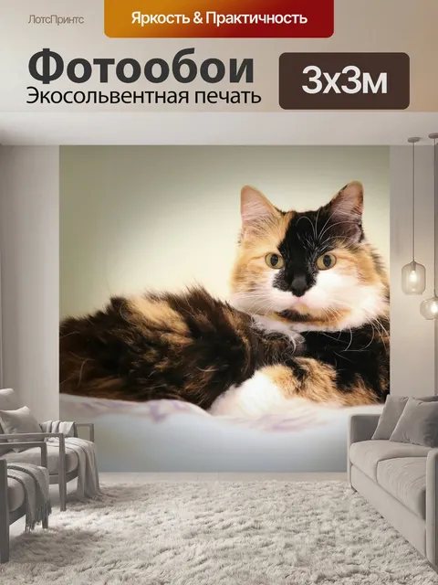 Фотообои Кошка