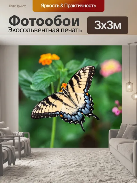 Фотообои Бабочка