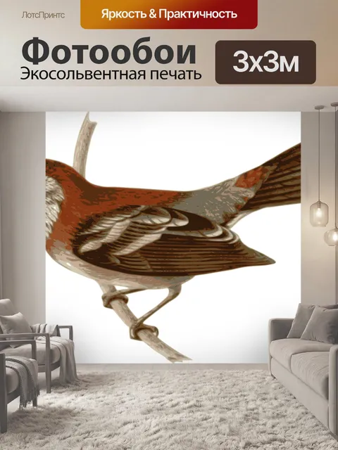 Фотообои Птица