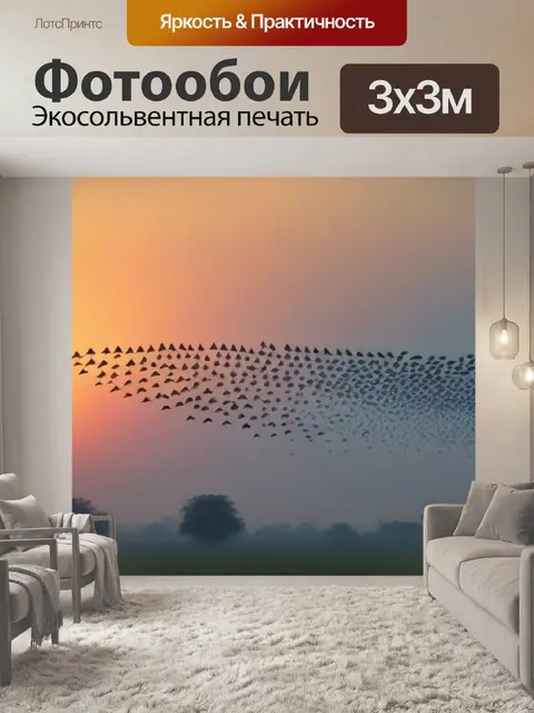 Фотообои рассвет с парами птиц в воздухе