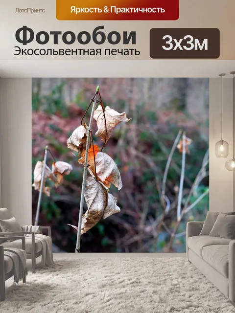 Фотообои Листья