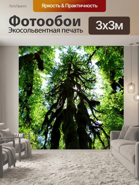 Фотообои Дерево
