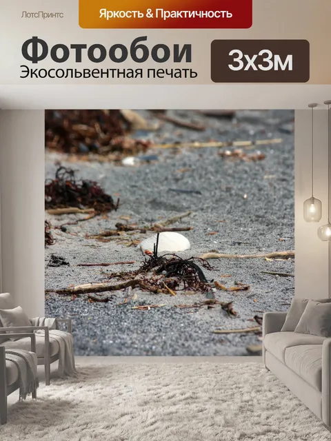 Фотообои Оболочка