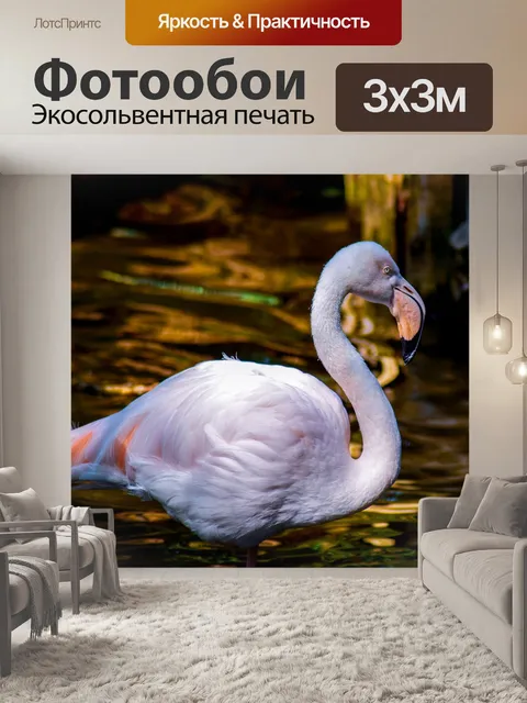 Фотообои Фламинго