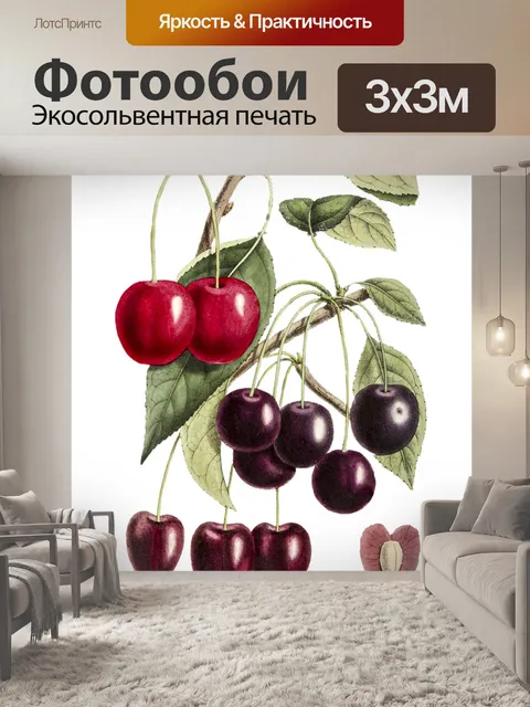 Фотообои Вишни старинные иллюстрации старые