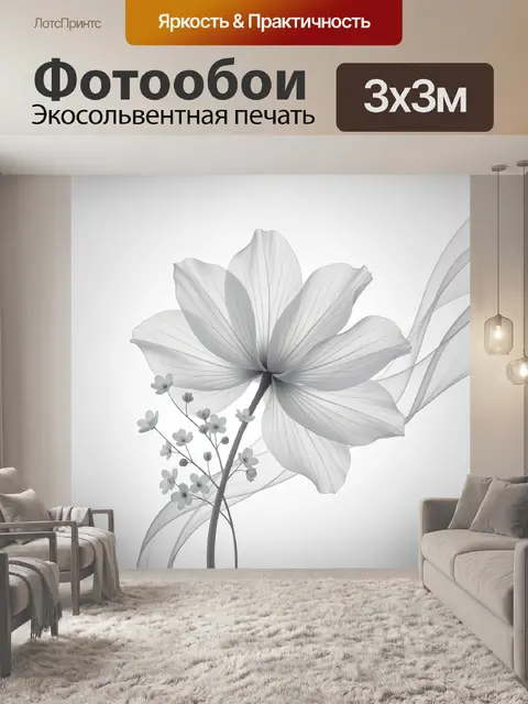 Фотообои Нежный цветок в серых тонах