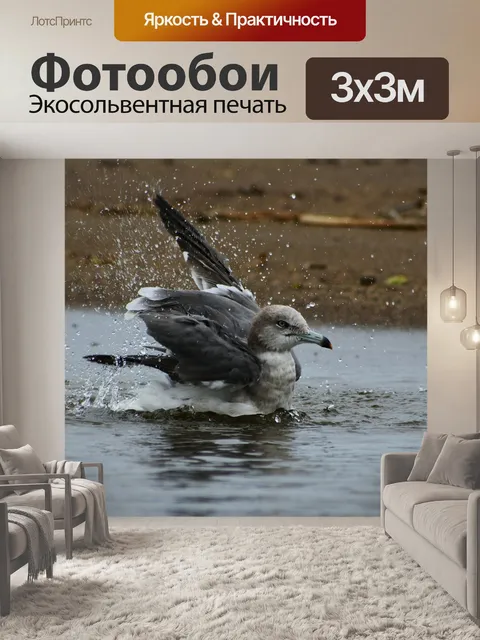 Фотообои Животное