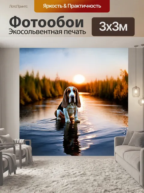 Фотообои огромный ресивер светлых оттенков, басет-хаунд, наблюдает за мерцающей рекой, отражающей закат