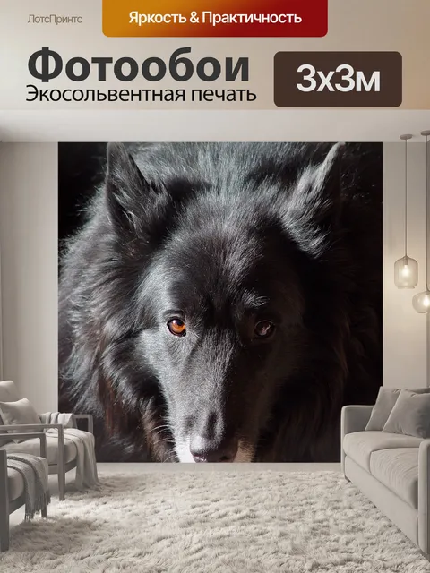 Фотообои Собака