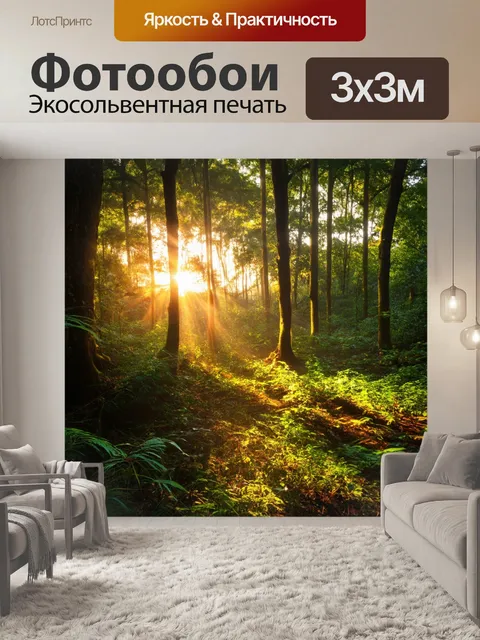 Фотообои закат в экзотическом лесу