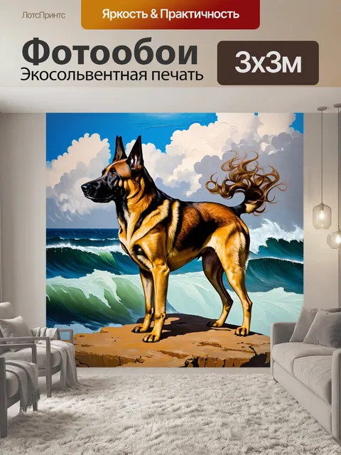 Фотообои величественный бельгийский малинуа на краю утеса, смотрящий на морские волны, его шерсть развевается на ветру