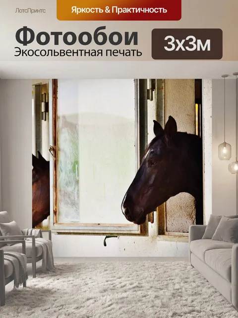 Фотообои Лошадь