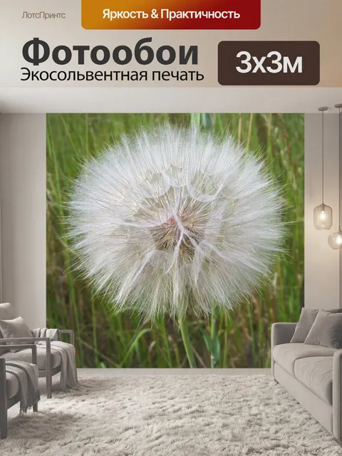 Фотообои Одуванчик