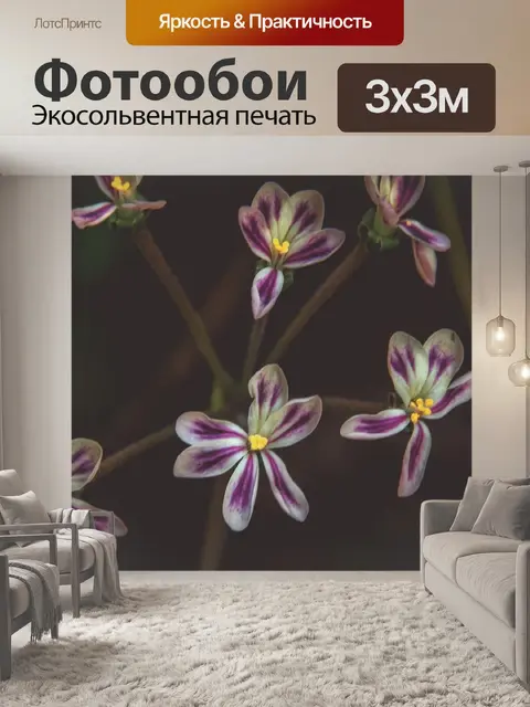 Фотообои Цветы
