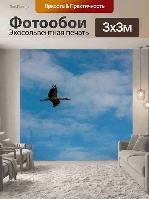Фотообои Птицы