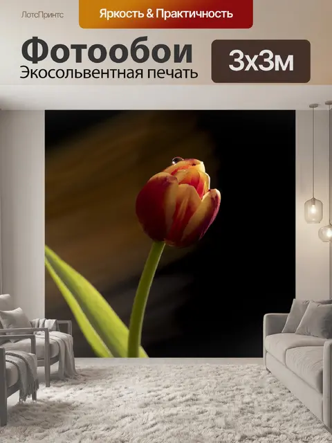 Фотообои Природа