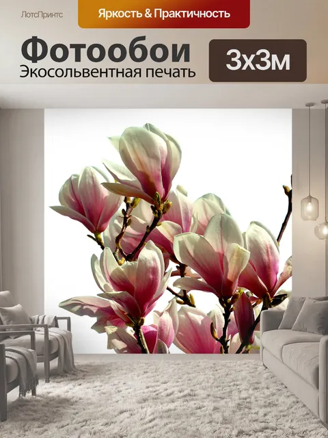 Фотообои Магнолии