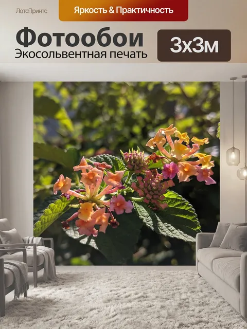 Фотообои Цветы