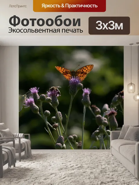 Фотообои Бабочки