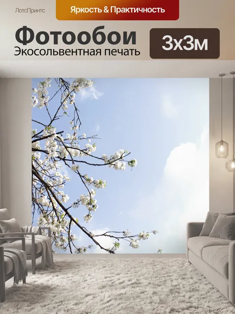 Фотообои Фон