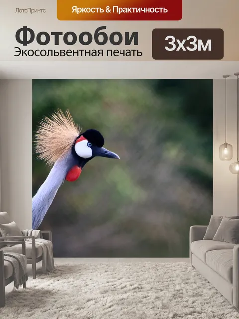 Фотообои Птица