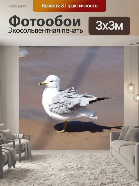 Фотообои Птица