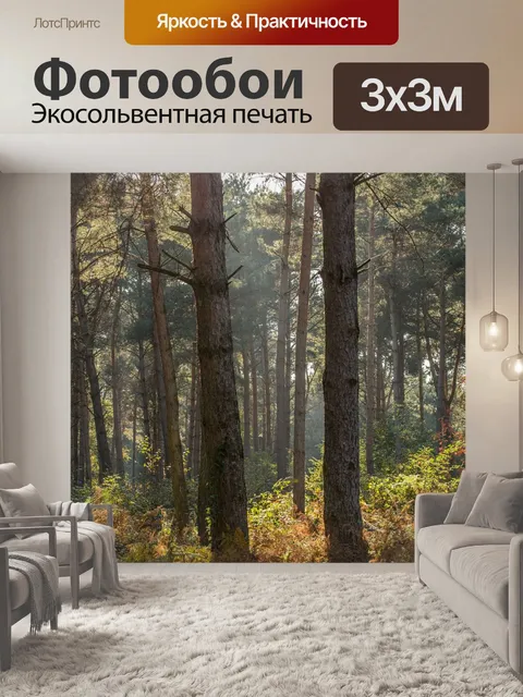 Фотообои Лес
