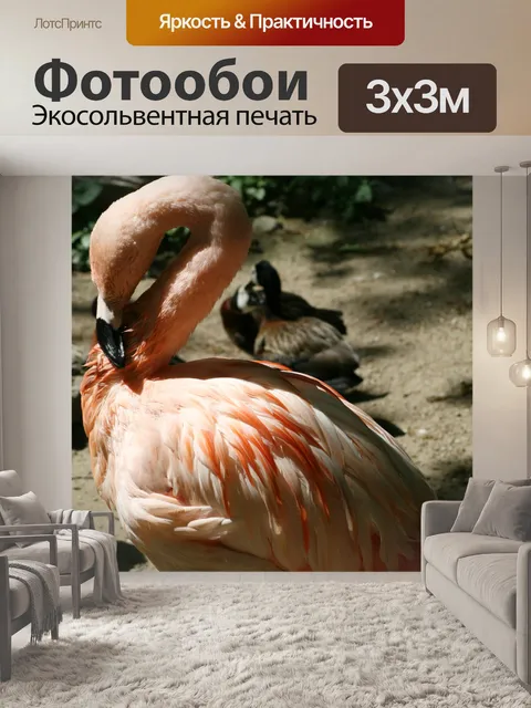 Фотообои Розовый Фламинго