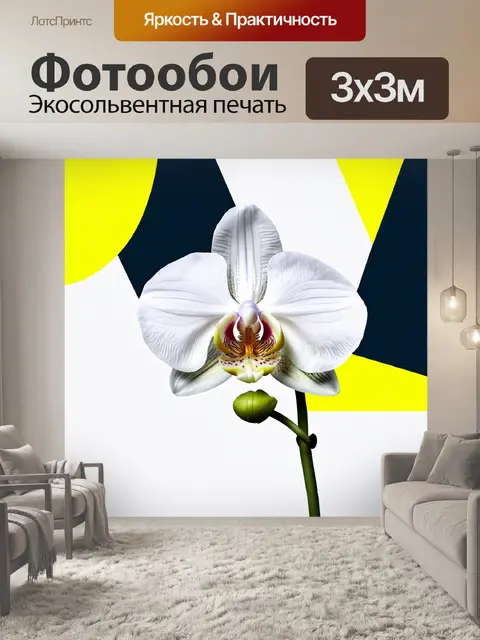 Фотообои минималистичное изображение одной белоснежной орхидеи на фоне абстрактных геометрических форм